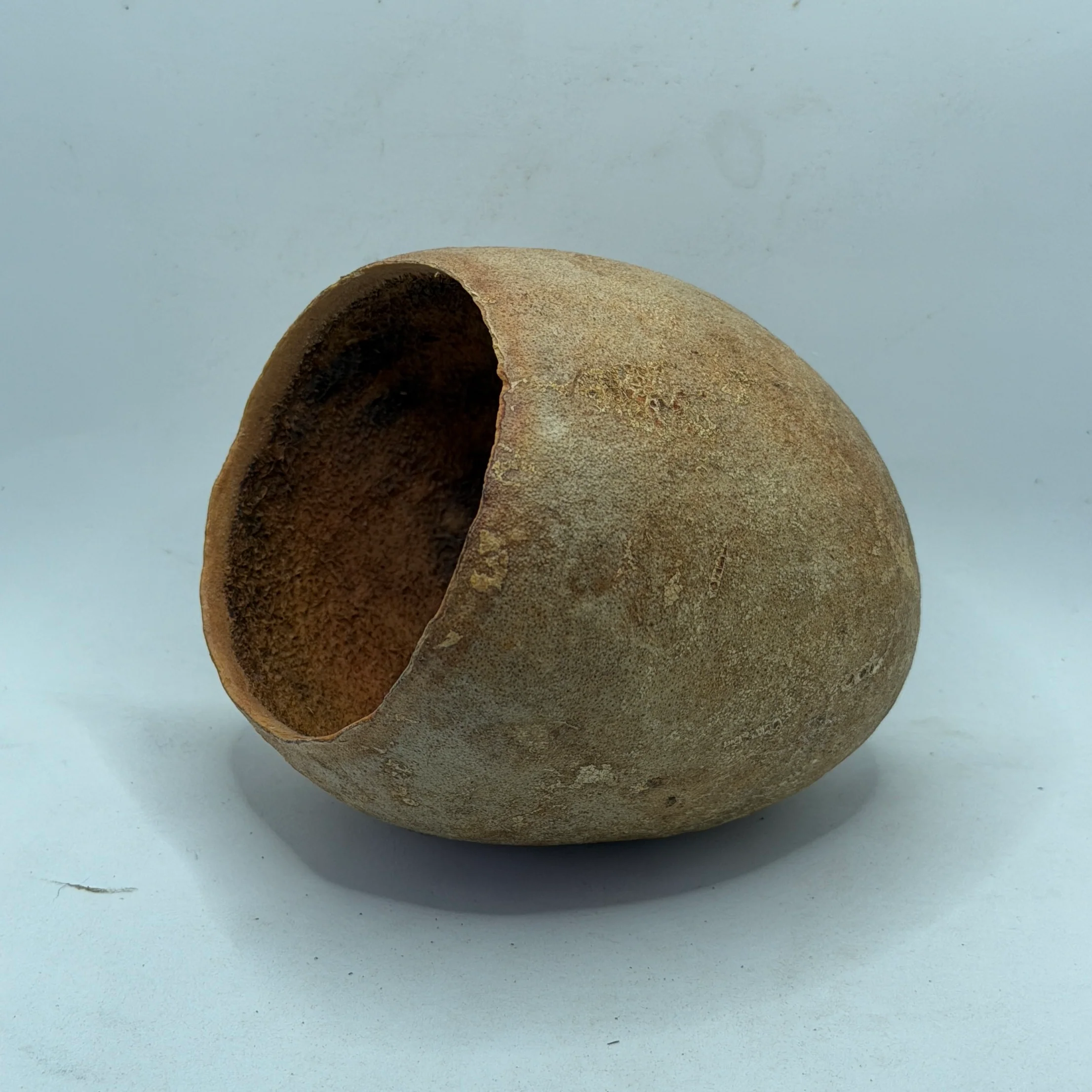 Beal Pod