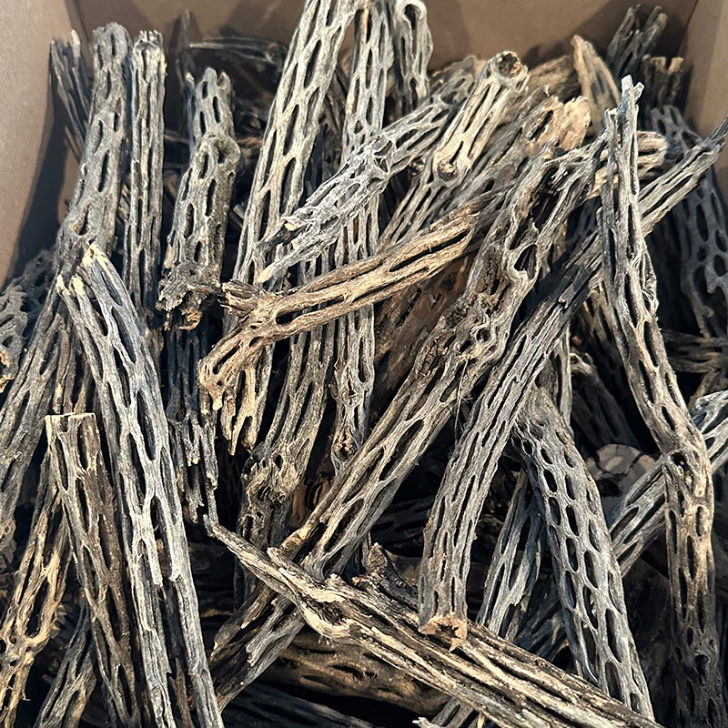 Cholla Wood - Image 3