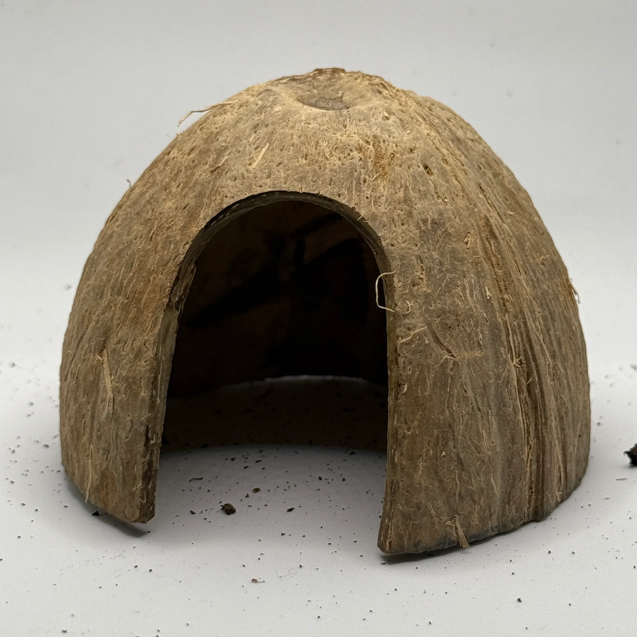 Coconut Hut