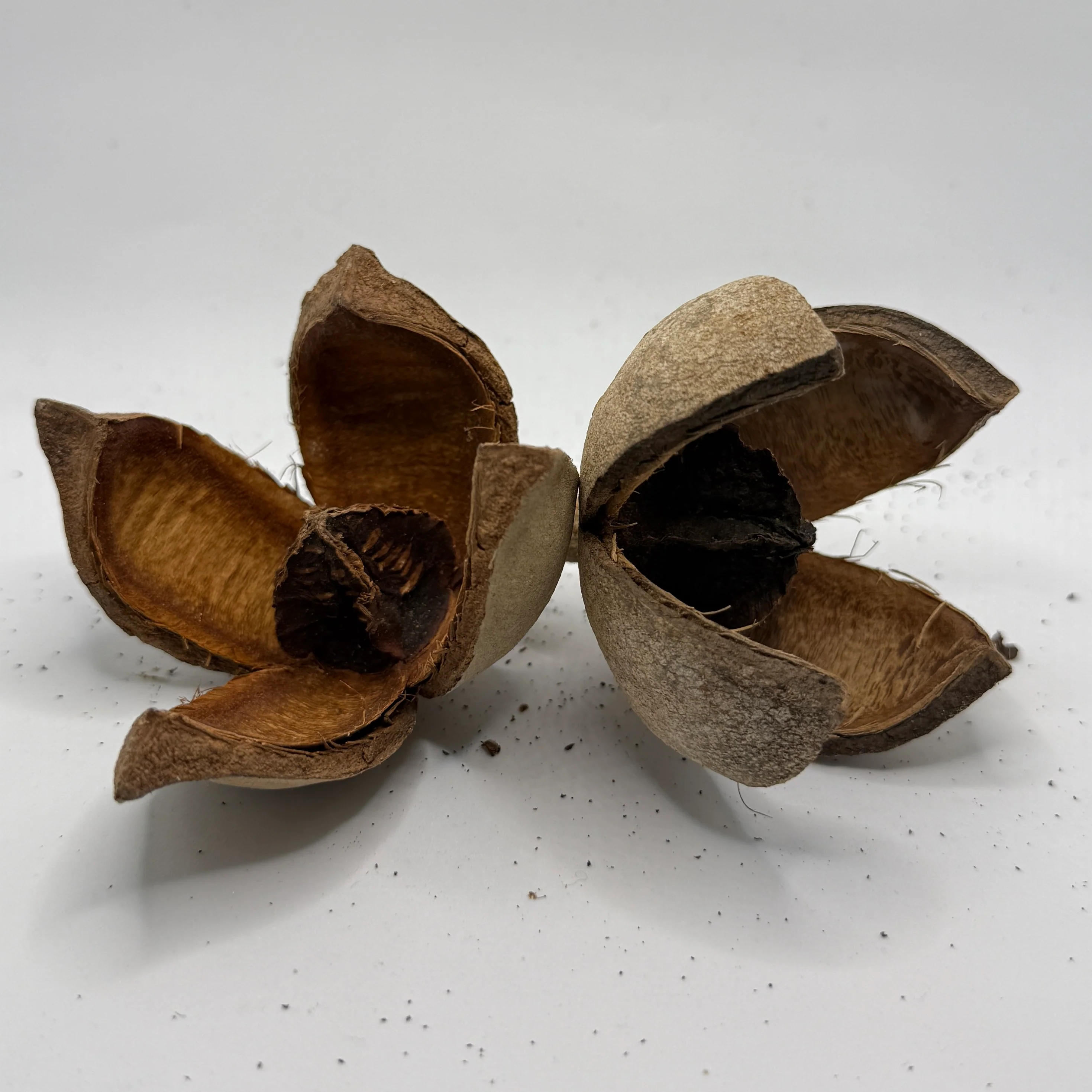 Khaya Pods
