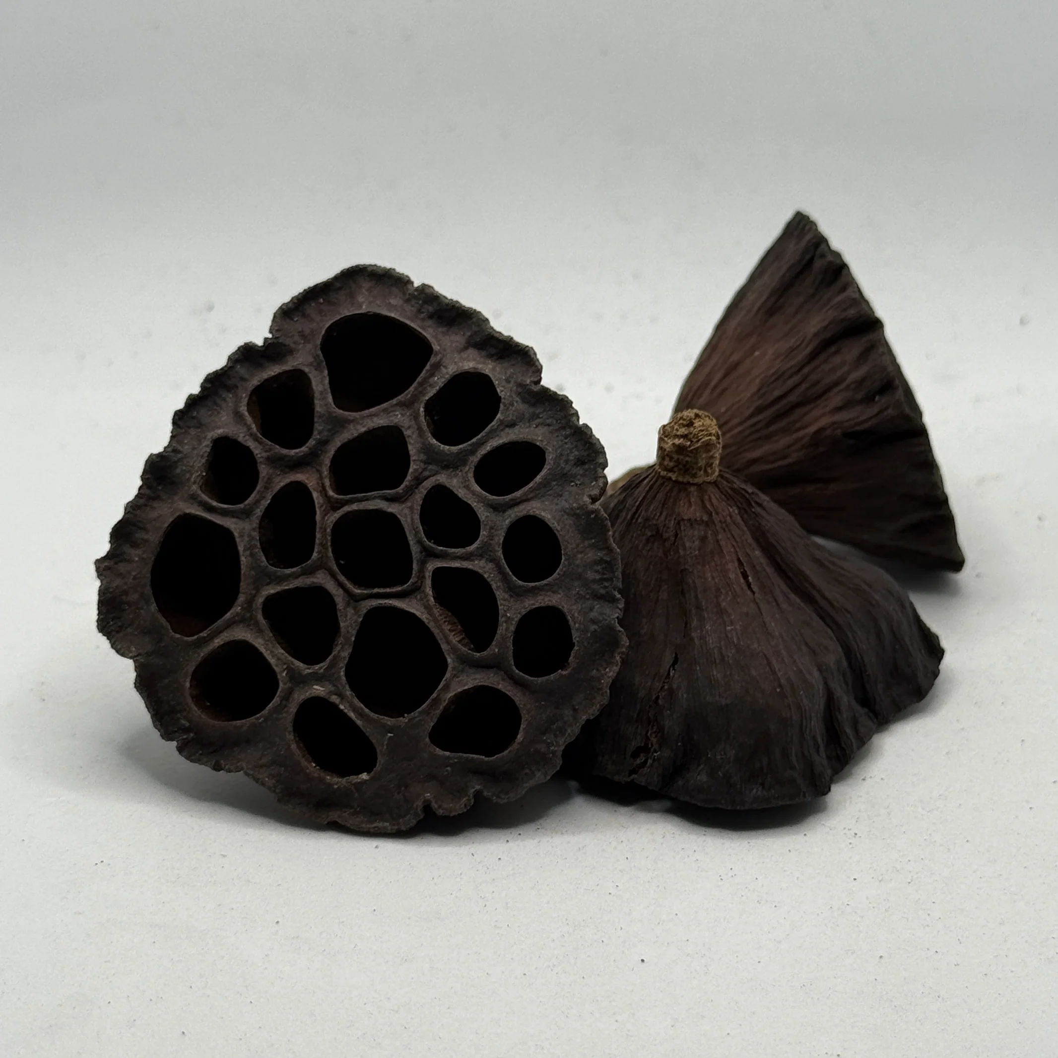 Lotus Pods